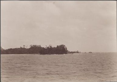 The south-east coast of Florida at Asses Ears, Solomon Islands, 1906 / J.W. Beattie