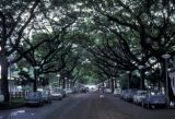 French Polynesia, Papeete street scene