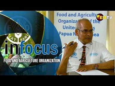 Infocus Episode 35- Food and Agricultural Organization in PNG.