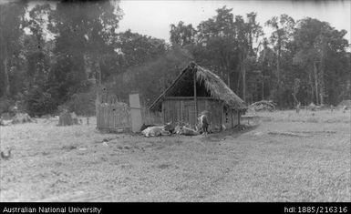 Farm yard scene at Atemble Mission  29 July 1937  9.30 am hazy