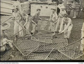 KIRIWINA, TROBRIAND ISLANDS, PAPUA. 1943-11-27. AIRMEN STACKING WIRE BED BASES AT ESTABLISHMENT OF A NEW CAMP FOLLOWING THE MOVE OF NOS. 22 AND 30 SQUADRONS RAAF FROM GOODENOUGH TO KIRIWINA ABOARD ..