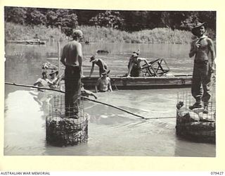 MEVELO RIVER, HENRY REID BAY, NEW BRITIN. 5 MARCH 1945. TROOPS OF THE 4TH FIELD COMPANY, WORKING ON THE CONSTRUCTION OF A BRIDGE OVER THE RIVER FNEAR THE BERA RIVER JUNCTION