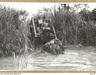 RAMU VALLEY, NEW GUINEA. 1943-11-26. A LIGHT 25 POUNDER GUN OF NO. 8 BATTERY 2/4 AUSTRALIAN FIELD REGIMENT BEING HAULED ACROSS THE EVAPIA RIVER IN THE KESAWAI AREA