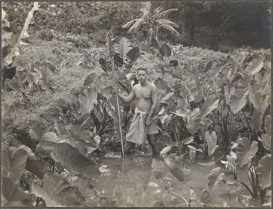 Man standing in a field. From the album: Photographs of Apia, Samoa