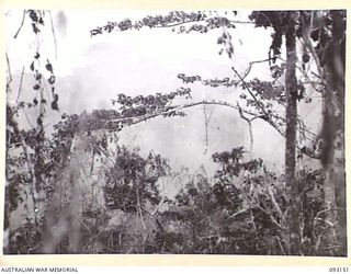 WEWAK AREA, NEW GUINEA, 1945-06-16. SMOKE RISING FROM AN ARTILLERY BARRAGE ON SHISSO MOUNTAIN, DURING THE ACTIVITIES OF 2/8 INFANTRY BATTALION IN THE AREA
