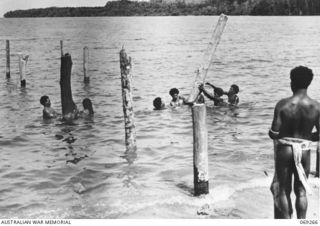 BIAMU, ORO BAY, NEW GUINEA. 1942-11-11. NATIVES FORCING POLES INTO THE SAND DURING THE BUILDING OF A WHARF AT BIAMU