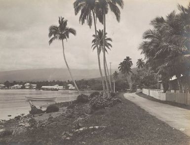 Road along the shore. From the album: Photographs of Apia, Samoa
