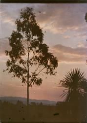 New Zealand, sunset