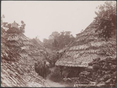 Women and children among round houses of Te Motu, Santa Cruz Islands, 1906, 2 / J.W. Beattie