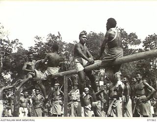 SONG RIVER, FINSCHHAFEN AREA, NEW GUINEA. 1944-03-26. NEW GUINEA NATIVES ENJOYING A PILLOW FIGHT DURING FESTIVITIES AT A SING-SING IN THE AUSTRALIAN NEW GUINEA ADMINISTRATIVE UNIT COMPOUND ..