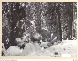 BOUGAINVILLE. 1945-04-05. TROOPS COVERING MATILDA TANKS, FROM SLATER'S KNOLL, FOLLOWING THE FAILURE OF A JAPANESE COUNTER ATTACK AGAINST BATTALION HQ AND B COMPANY, 25 INFANTRY BATTALION. THE ..