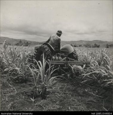 Farmer riding tractor