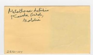 [Metathorax debilis in Hawaii, envelope IE42-084]