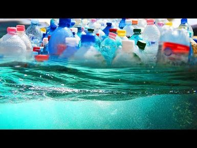 Plastic Waste | Insights on PBS Hawai'i