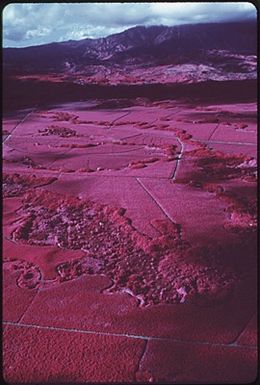 THE ISLAND OF KAUAI IS KNOWN AS THE "GARDEN ISLE" BECAUSE OF ITS LUSH VEGETATION AND FERTILE SOIL. CHIEF CROPS ARE SUGARCANE (REDDISH AREAS IN THE INFRARED PHOTOGRAPH) AND PINEAPPLE