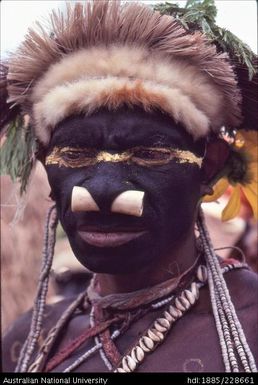 Portrait of a Febi elder with a nose-piece made from a cassowary leg-bone