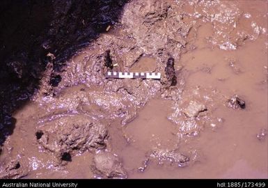 SAD/VII, wood at base of trench, top of spit 13