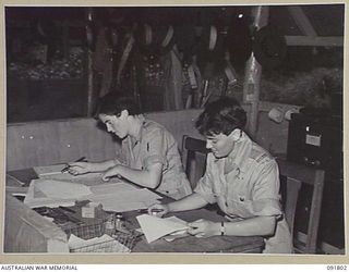 LAE, NEW GUINEA. 1945-05-15. PRIVATE P. O'LOUGHLIN (1), AND PRIVATE E.F. RAE (2), FILING CLERKS AT SUPPLY AND TRANSPORT, HEADQUARTERS FIRST ARMY. A FEW DAYS AFTER THEIR ARRIVAL FROM AUSTRALIA, ..
