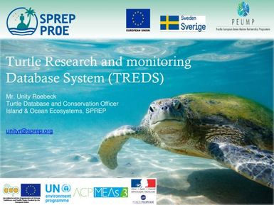 Turtle research and monitoring database system (TREDS)