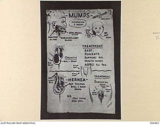 LAE AREA, NEW GUINEA, 1945-08-03. A "PIDGIN" ENGLISH CHART USED FOR THE INSTRUCTION OF NATIVE REGIMENTAL AID POST ORDERLIES. THE PHOTOGRAPH WAS MADE AT THE REQUEST OF HEADQUARTERS AUSTRALIAN NEW ..