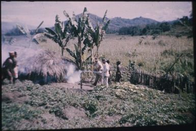 Fumigating a house for flies to help prevent dysentery : Wahgi Valley, Papua New Guinea, 1954 / Terence and Margaret Spencer