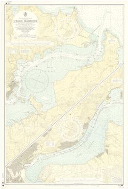 [New Zealand hydrographic charts]: New Zealand - South Island. Otago Harbour. (Sheet 6612)