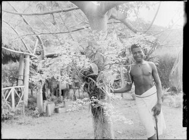 Man standing beside a tree with a vine wrapped around the trunk, Malaguna Road, Rabaul, New Guinea, ca. 1935 / Sarah Chinnery