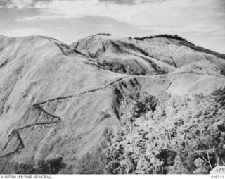 1944-03-22. NEW GUINEA. A NATIVE CARRIER TRAIL UP A STEEP MOUNTAIN IN THE FINISTERRE RANGES. NATIVE CARRIERS WERE VALUABLE TO THE AUSTRALIAN TROOPS WHEN THEY WRESTED SHAGGY RIDGE FROM THE ENEMY. A ..