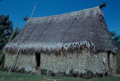 [Thatch dwelling in Suva, Fiji]