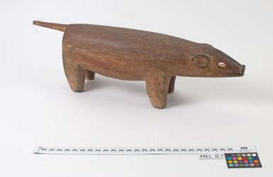 Pig