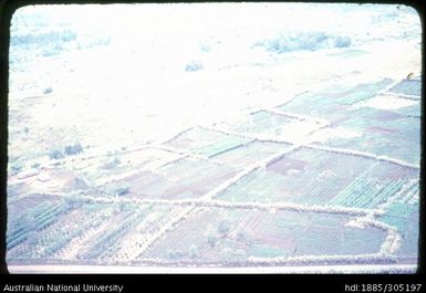 Central Goroka Valley