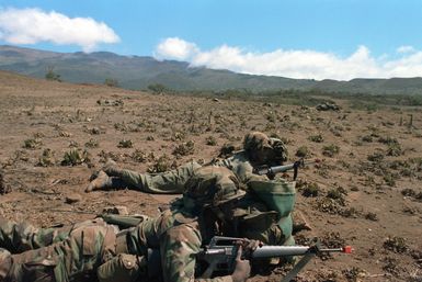 Members of Company A, 1ST Battalion, 5th Infantry, 25th Infantry Division, fires M16A1 rifles on opposing forces during exercise OPPORTUNE JOURNEY 4-84 at Pohakuloa Training Area