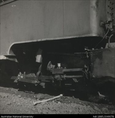 Cane Train