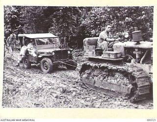 WEWAK AREA, NEW GUINEA, 1945-06-14. GENERAL SIR THOMAS A. BLAMEY, COMMANDER-IN-CHIEF, ALLIED LAND FORCES, SOUTH WEST PACIFIC AREA (1), IN A JEEP, BEING TOWED BY A TRACTOR, UP A TORTUOUS HILL ON THE ..