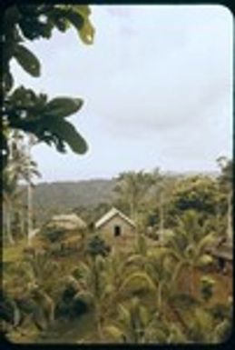Houses in a village