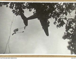 NEW GUINEA, 1943-08-01. "KAI" OR "BISCUIT" BOMBERS WERE USED TO CARRY SUPPLIES OF FOOD AND AMMUNITION TO FORWARD TROOPS IN INACCESSIBLE AREAS. NOTE - KAI IS THE NATIVE WORD FOR FOOD. PHOTOGRAPH ..