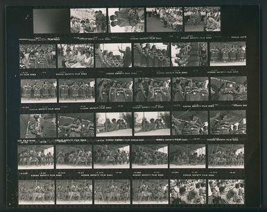 [Various, NZ Polynesian Festival 1981, Waiata-a-ringa, Kapa Haka, Haka]