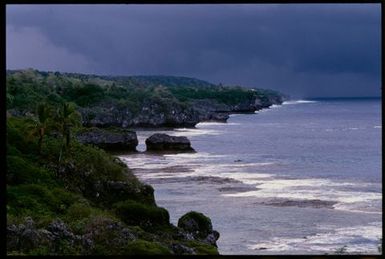Coastline, Niue