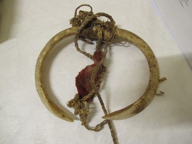 Boar tusk ornament