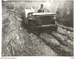 ORO BAY, NEW GUINEA. 1943-05. A JEEP NEGOTIATING A TRACK THROUGH KUNAI GRASS. THE 10TH FIELD AMBULANCE, AUSTRALIAN ARMY MEDICAL CORPS IS LOCATED IN THE AREA