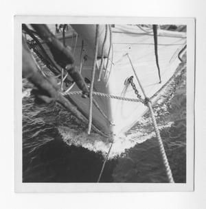 [Bow of the Evaleeta]