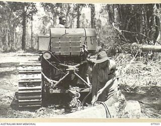 BOUGAINVILLE ISLAND, 1944-11-17. WX2777 SAPPER MCARTHUR (1) AND WX2762 SAPPER P. CURO (2) PREPARING TO DRAG A LOG OUT INTO A JUNGLE CLEARING TO BE CUT INTO HANDLEABLE LENGTHS