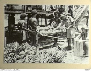 BIAMU, ORO BAY, NEW GUINEA. 1942-11-11. PX123 CAPTAIN T. GRAHAMSLAW, DISTRICT OFFICER FOR THE BUNA AREA, ACCEPTING FRUIT AND VEGETABLES FROM NATIVES OF THE SURROUNDING AREA AT BIAMU VILLAGE