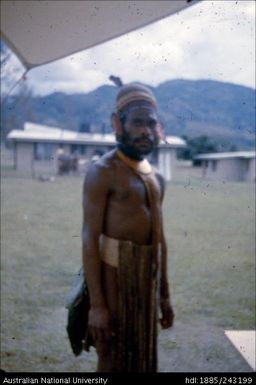 Papuan male