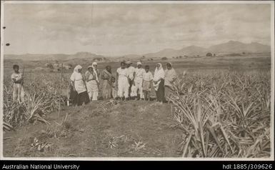 Indian women, field workers