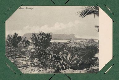 [...] Ponape. From the album: Banaba (Ocean Island)