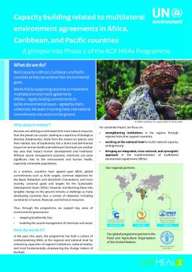 Capacity-building related to multilateral environmental agreements (MEAs) in African, Caribbean and Pacific countries - A glimpse into Phase 2 of the ACP MEAs Programme