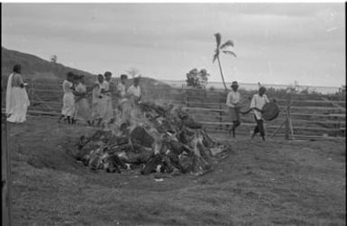 Fieldwork in Fiji