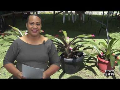 KVZK TV News