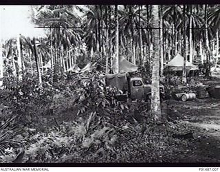 MILNE BAY, PAPUA, C. 1943-05. TRUCK AND TENTS OF TRANSPORT SECTION, NO. 100 SQUADRON RAAF, AMONG THE PALM TREES AT ROUTE 7, GURNEY AIRFIELD